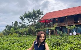 Tea Garden House