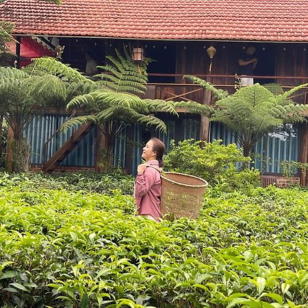 Villa Tea Garden House à Bảo Lộc Extérieur photo