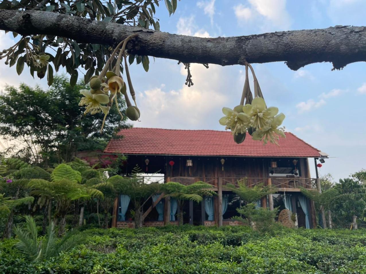 Villa Tea Garden House à Bảo Lộc Extérieur photo