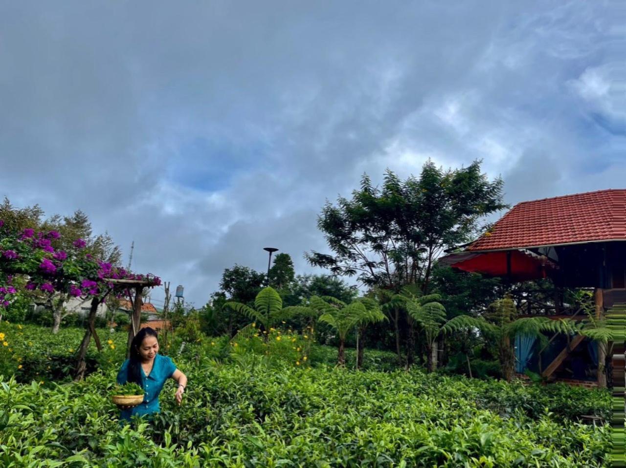 Villa Tea Garden House à Bảo Lộc Extérieur photo