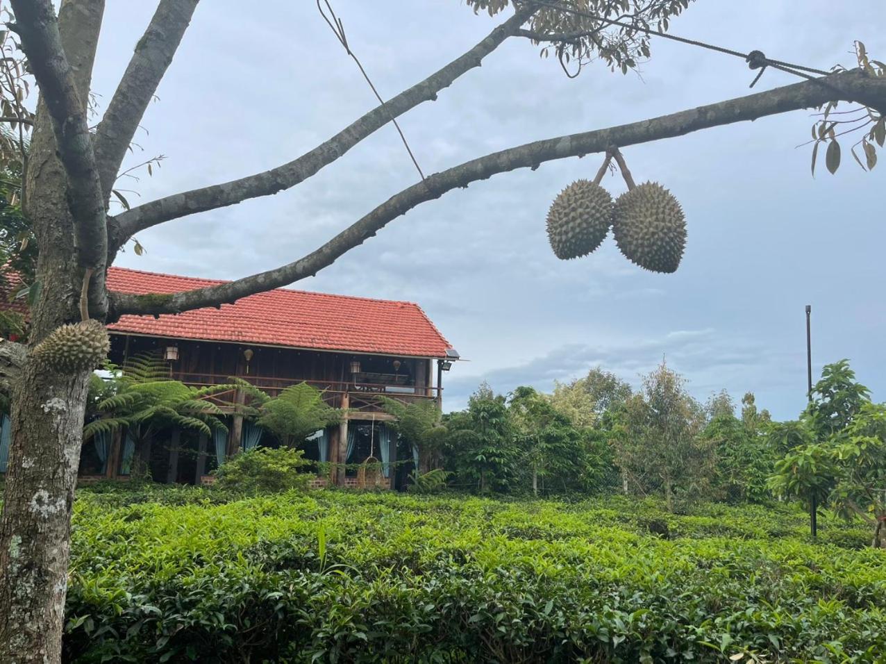 Villa Tea Garden House à Bảo Lộc Extérieur photo