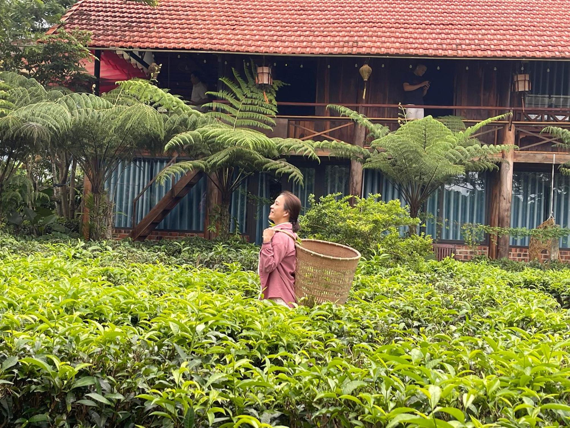 Villa Tea Garden House à Bảo Lộc Extérieur photo