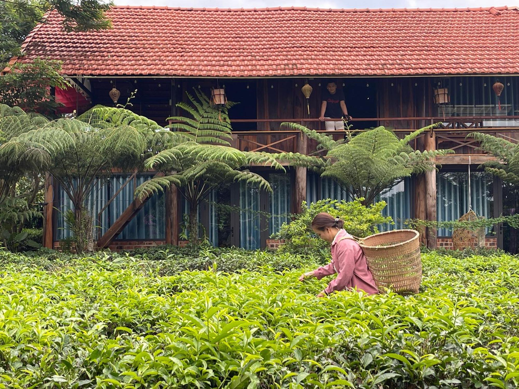 Villa Tea Garden House à Bảo Lộc Extérieur photo