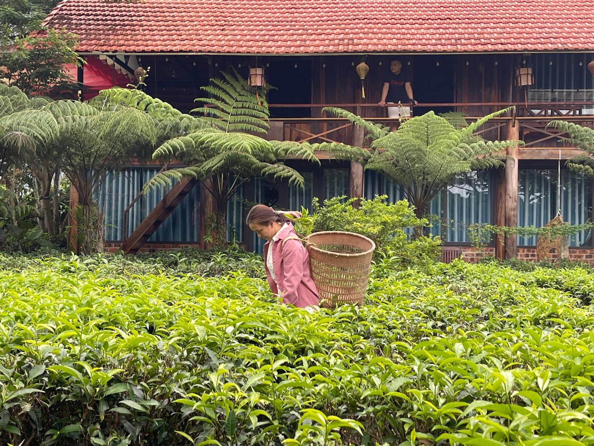 Villa Tea Garden House à Bảo Lộc Extérieur photo